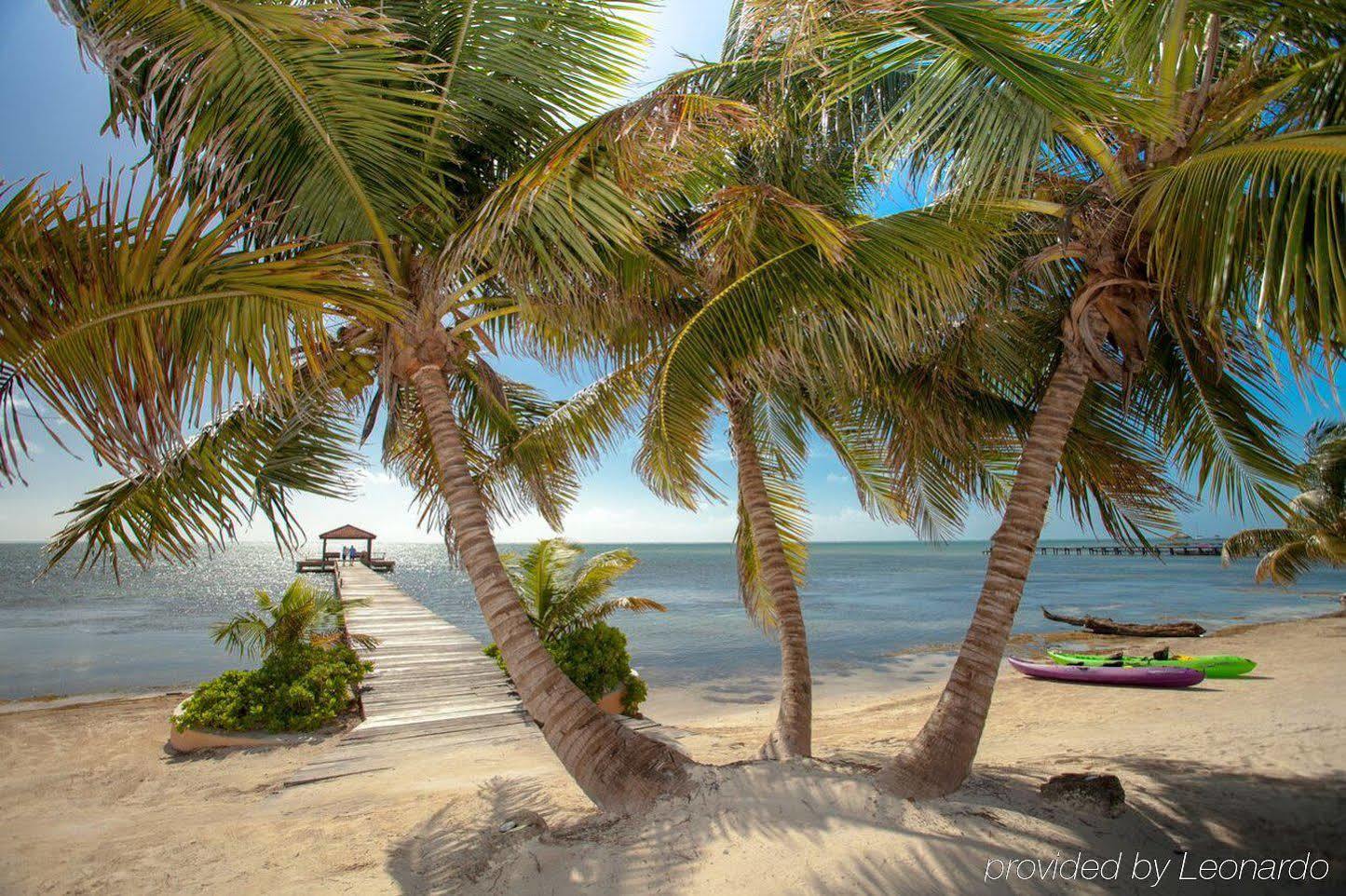 Belizean Cove Estates Hotel San Pedro  Exterior photo